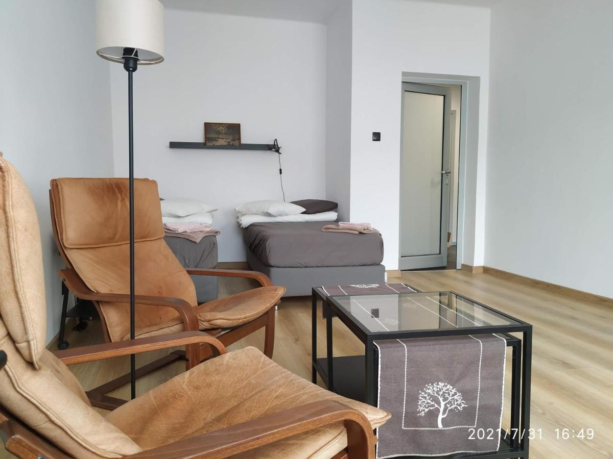Apartament Przy Parku Srodmiescie Danzica Esterno foto